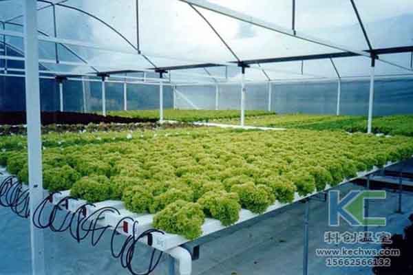 無土栽培技術，溫室大棚造價，無土栽培，溫室大棚