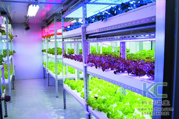無(wú)土栽培技術(shù)，無(wú)土栽培設(shè)備，無(wú)土栽培，溫室大棚