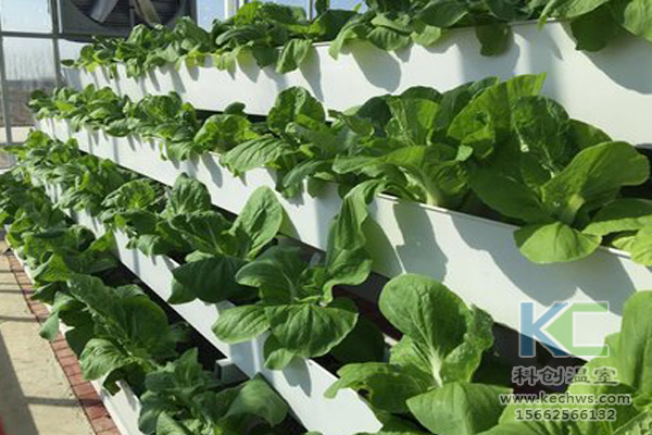 無(wú)土栽培技術(shù)，無(wú)土栽培設(shè)備，無(wú)土栽培，溫室大棚