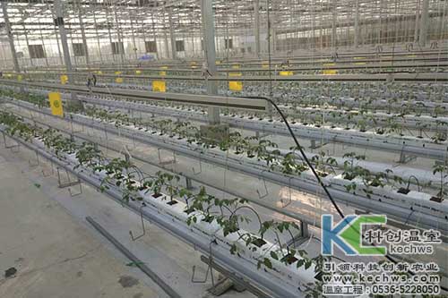 無(wú)土栽培，無(wú)土栽培技術(shù)，無(wú)土栽培設(shè)備