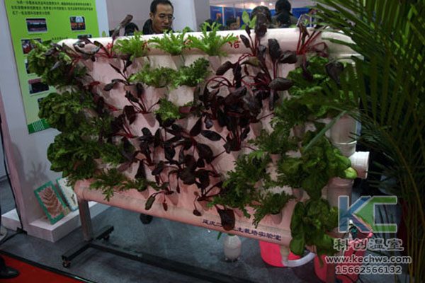 蔬菜大棚無土栽培，無土栽培技術(shù)，溫室大棚，大棚