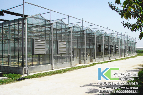 無土栽培，無土栽培技術(shù)，無土栽培設(shè)備