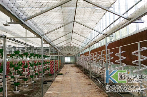 無土栽培,基質栽培,水培