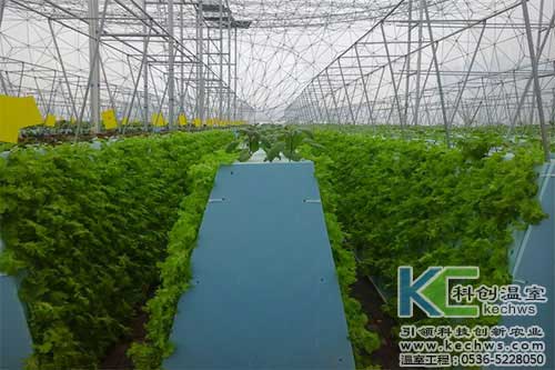 無土栽培，無土栽培技術，無土栽培設備