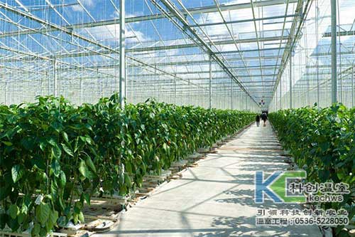 無土栽培，無土栽培技術(shù)，無土栽培設(shè)備