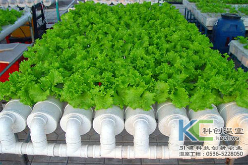 無土栽培，無土栽培技術(shù)，無土栽培設備