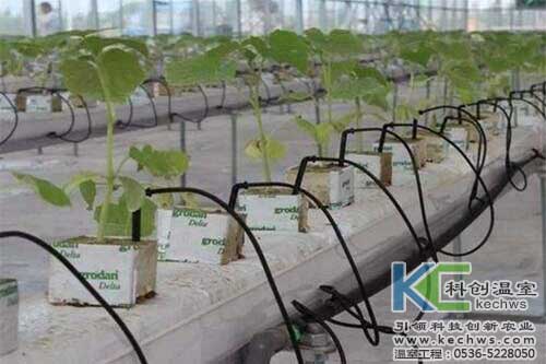 無土栽培，無土栽培技術，無土栽培設備