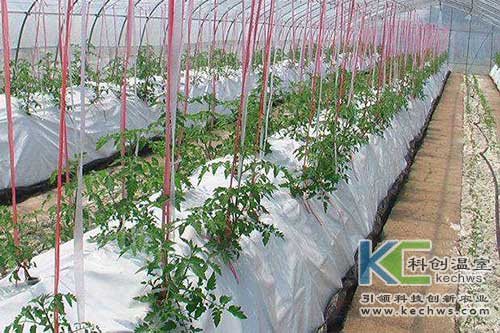 無土栽培，無土栽培技術(shù)，無土栽培設(shè)備