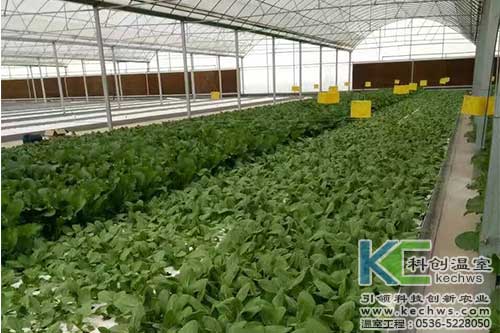 無土栽培，無土栽培技術，無土栽培設備