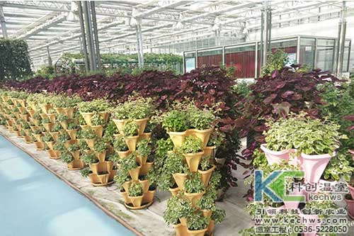無土栽培，無土栽培技術，無土栽培設備