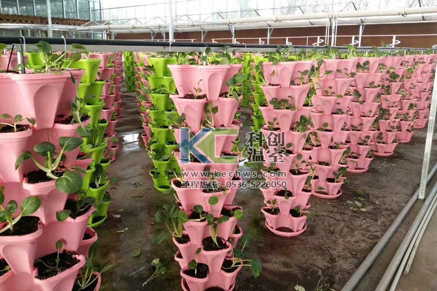 無土栽培，無土栽培技術(shù)，無土栽培設(shè)備