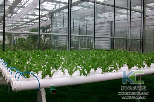 無土栽培，無土栽培技術，無土栽培設備