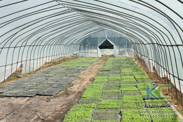 無土栽培，無土栽培技術，無土栽培設備