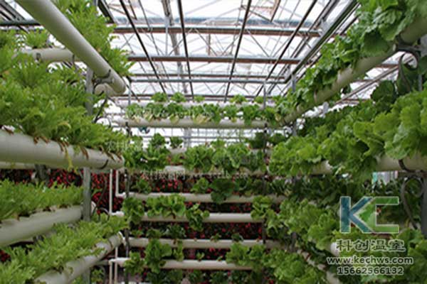 無土栽培，無土栽培技術(shù)，無土栽培設(shè)備