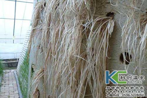 無土栽培，無土栽培技術，無土栽培設備