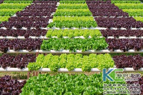 無土栽培，無土栽培技術，無土栽培設備