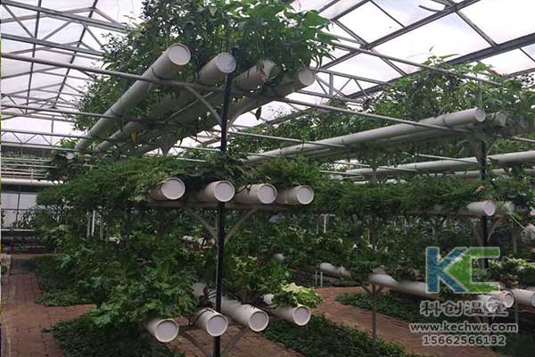 無土栽培，無土栽培技術，無土栽培設備