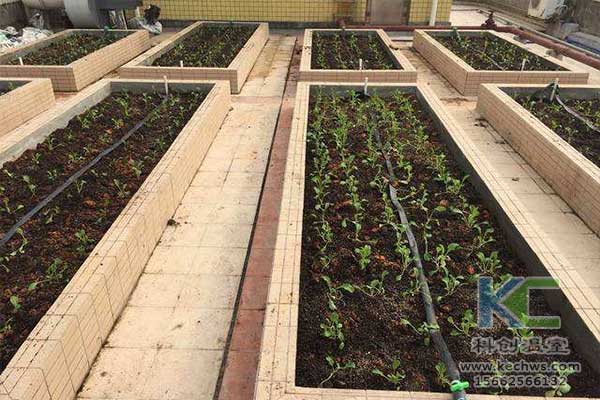 無土栽培，無土栽培技術(shù)，無土栽培設(shè)備