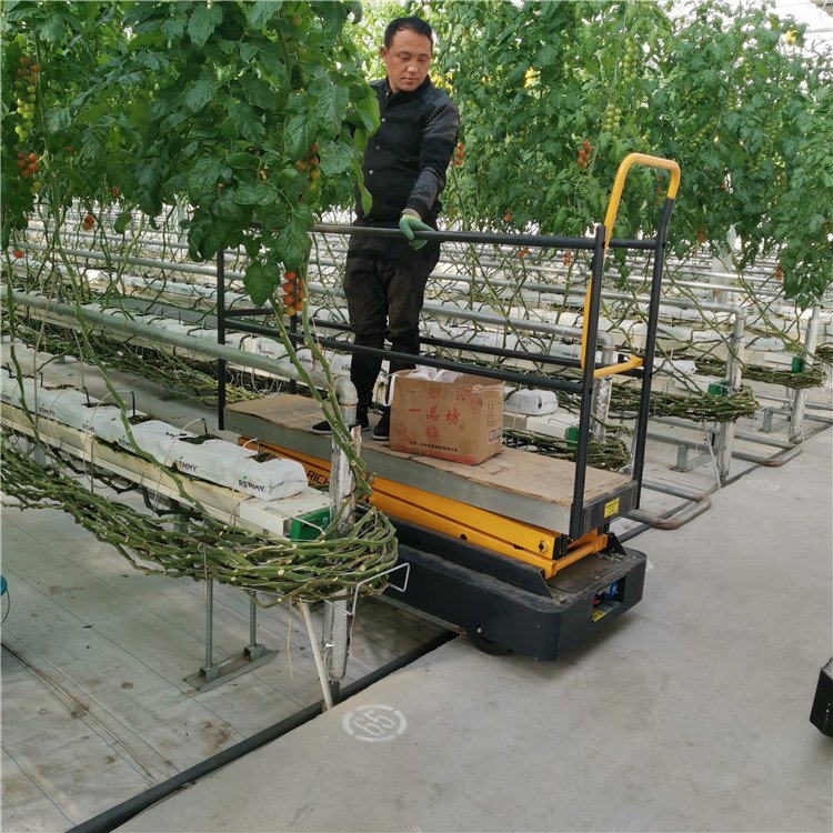 無(wú)土栽培，無(wú)土栽培技術(shù)，無(wú)土栽培設(shè)備