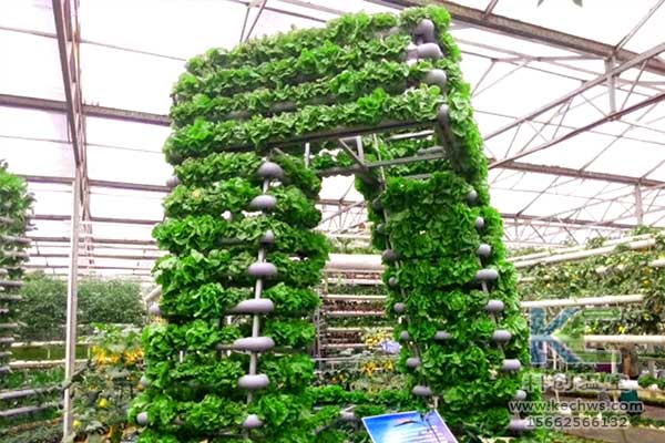 無土栽培，無土栽培技術，無土栽培設備