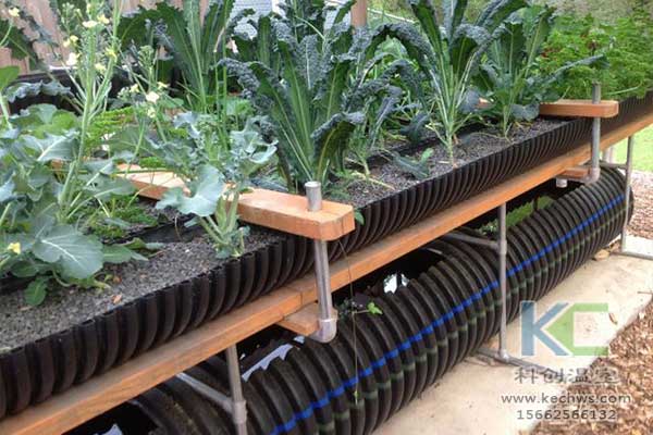 無(wú)土栽培，無(wú)土栽培技術(shù)