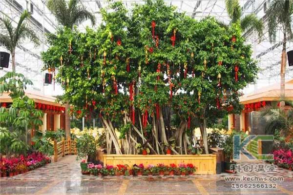 無土栽培，無土栽培技術(shù)，無土栽培設(shè)備