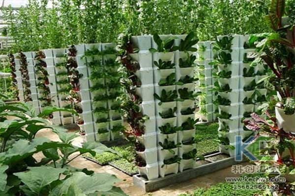 無土栽培，無土栽培技術，無土栽培設備