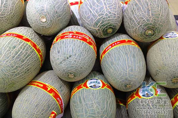 無土栽培，無土栽培技術，無土栽培設備