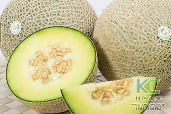 無土栽培，無土栽培技術，無土栽培設備