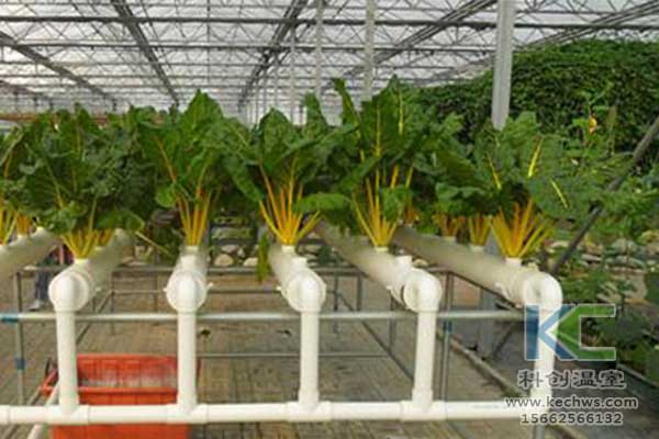 無土栽培，無土栽培技術，無土栽培設備