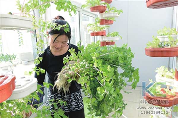 無土栽培，無土栽培技術，無土栽培設備