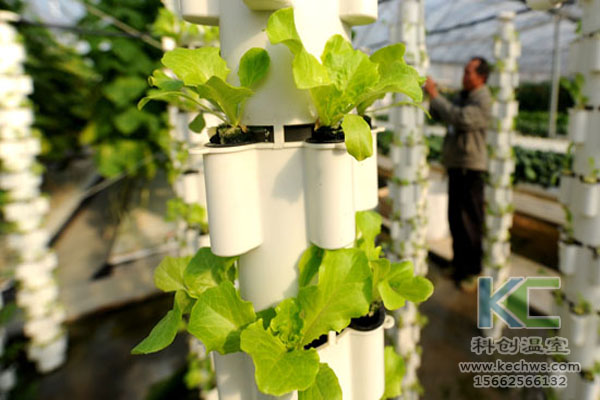 無土栽培,無土栽培技術,無土栽培設備