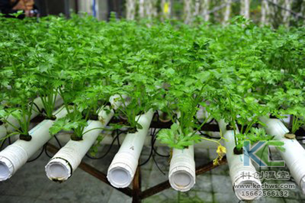 無土栽培，無土栽培技術，無土栽培設備