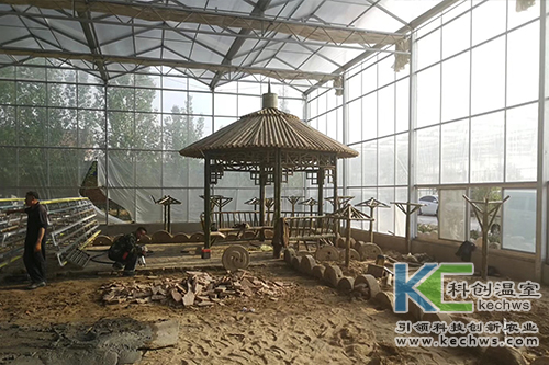 無土栽培,無土栽培技術,工程