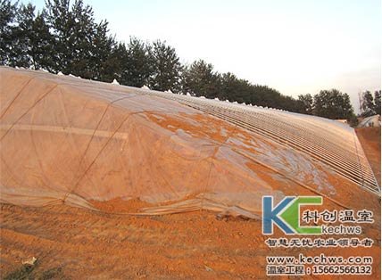 無土栽培，無土栽培技術(shù)，無土栽培設(shè)備