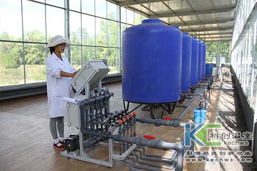 無土栽培，無土栽培技術，無土栽培設備