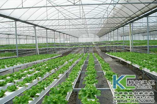 無土栽培，無土栽培技術，無土栽培設備