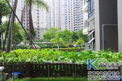 無(wú)土栽培，無(wú)土栽培技術(shù)，無(wú)土栽培設(shè)備