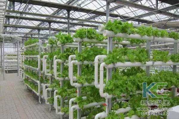 無土栽培，無土栽培技術，無土栽培設備
