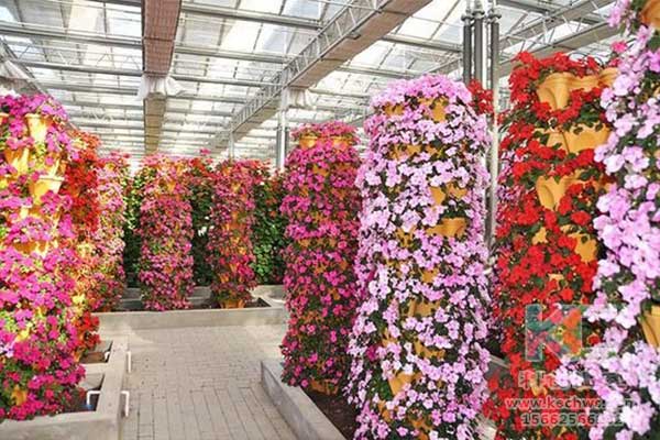 無土栽培，無土栽培技術，無土栽培設備