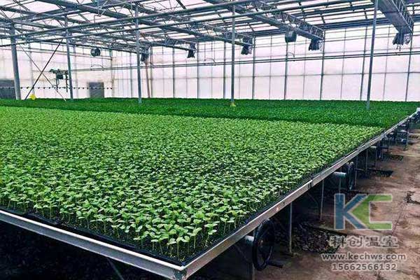 無(wú)土栽培，無(wú)土栽培技術(shù)，無(wú)土栽培設(shè)備