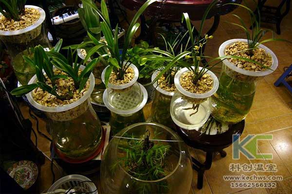 無土栽培，無土栽培技術(shù)，無土栽培設(shè)備