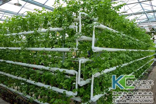 無土栽培，無土栽培技術，無土栽培設備