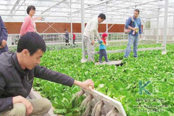 無土栽培，無土栽培技術，無土栽培設備