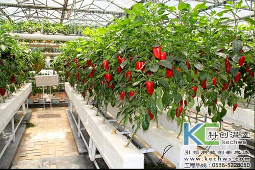 無(wú)土栽培，無(wú)土栽培技術(shù)，無(wú)土栽培設(shè)備