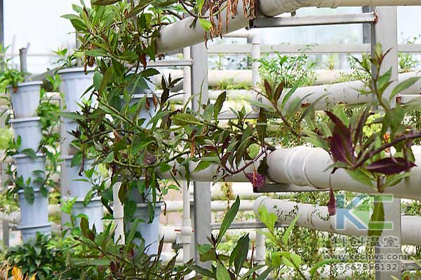 無土栽培，無土栽培技術，無土栽培設備