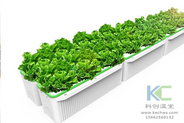 無(wú)土栽培，無(wú)土栽培技術(shù)，無(wú)土栽培設(shè)備