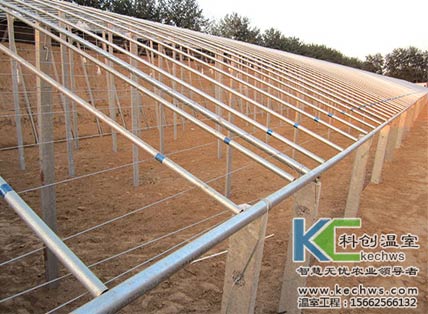 無土栽培，無土栽培技術(shù)，無土栽培設(shè)備