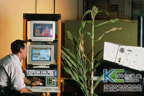 無土栽培，無土栽培技術(shù)，無土栽培設(shè)備