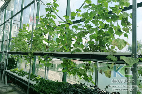無土栽培技術，無土栽培設備，溫室大棚，無土栽培
